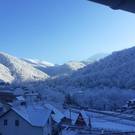 Std Cvetkovic Bed & Breakfast Crni Vrh Luaran gambar