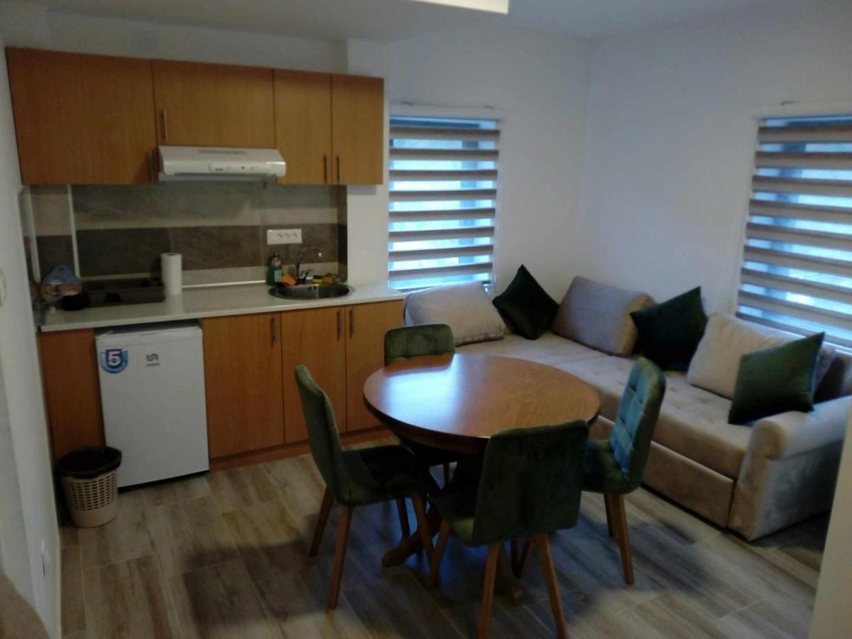 Std Cvetkovic Bed & Breakfast Crni Vrh Luaran gambar