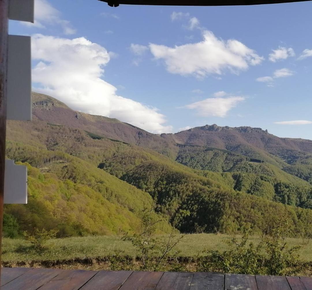 Std Cvetkovic Bed & Breakfast Crni Vrh Luaran gambar