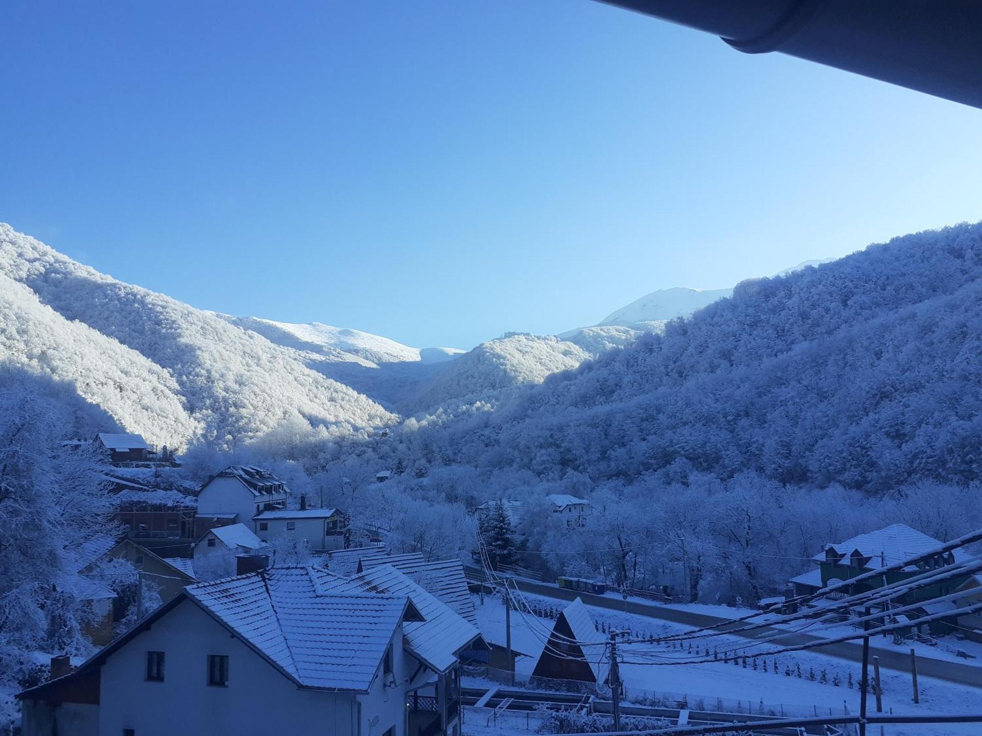 Std Cvetkovic Bed & Breakfast Crni Vrh Luaran gambar